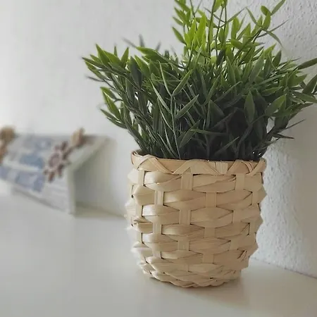 Sun 'n Sand, Dream It In بوسيدي